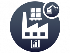Report Picking of Handling Unit Shop Order Pick List